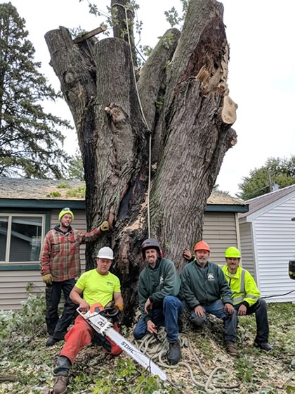 pioneer-tree-crew-2018